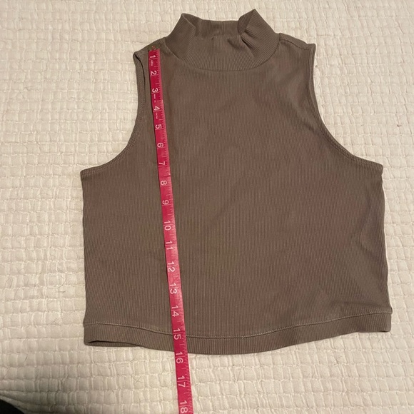 Everlane Ribbed Mock-neck Cropped Tank in Clay - Picture 5 of 6
